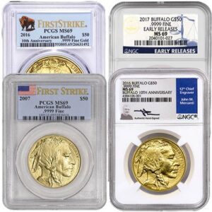1 oz American Gold Buffalo Coin MS69