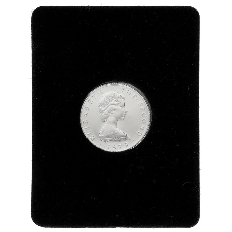 1979 Isle Of Man One Pound Proof Platinum Coin Triskellion on Island Boxed - Image 2
