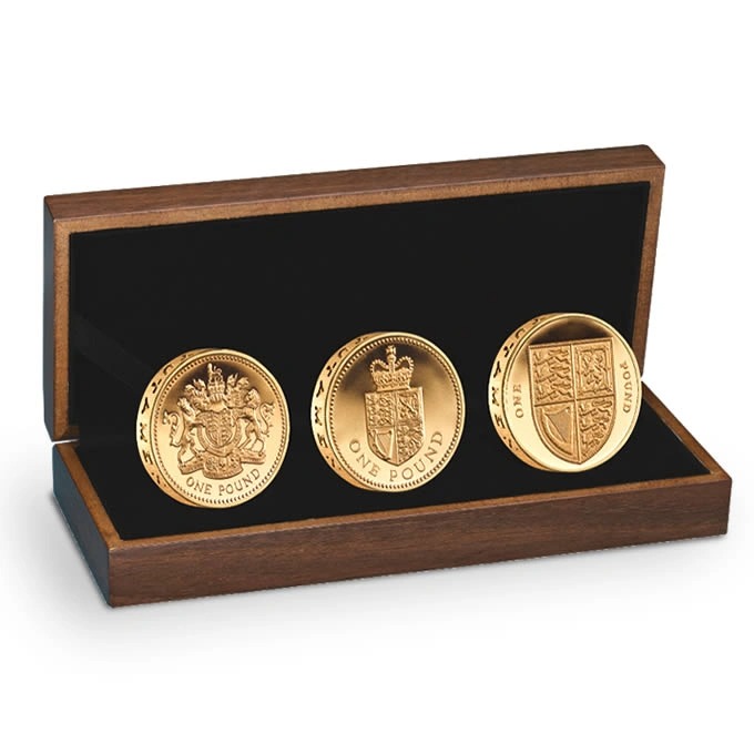 2013 Proof Gold £1 Pound Coin 30th