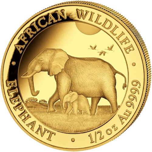 2022 Somalia Gold Elephant First Struck 6-Coin Collection - Image 4