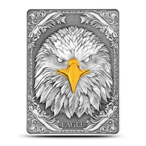 10 oz Antique Fiji Silver Eagle Rect