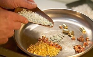 Read more about the article Differences Between Gold and Platinum