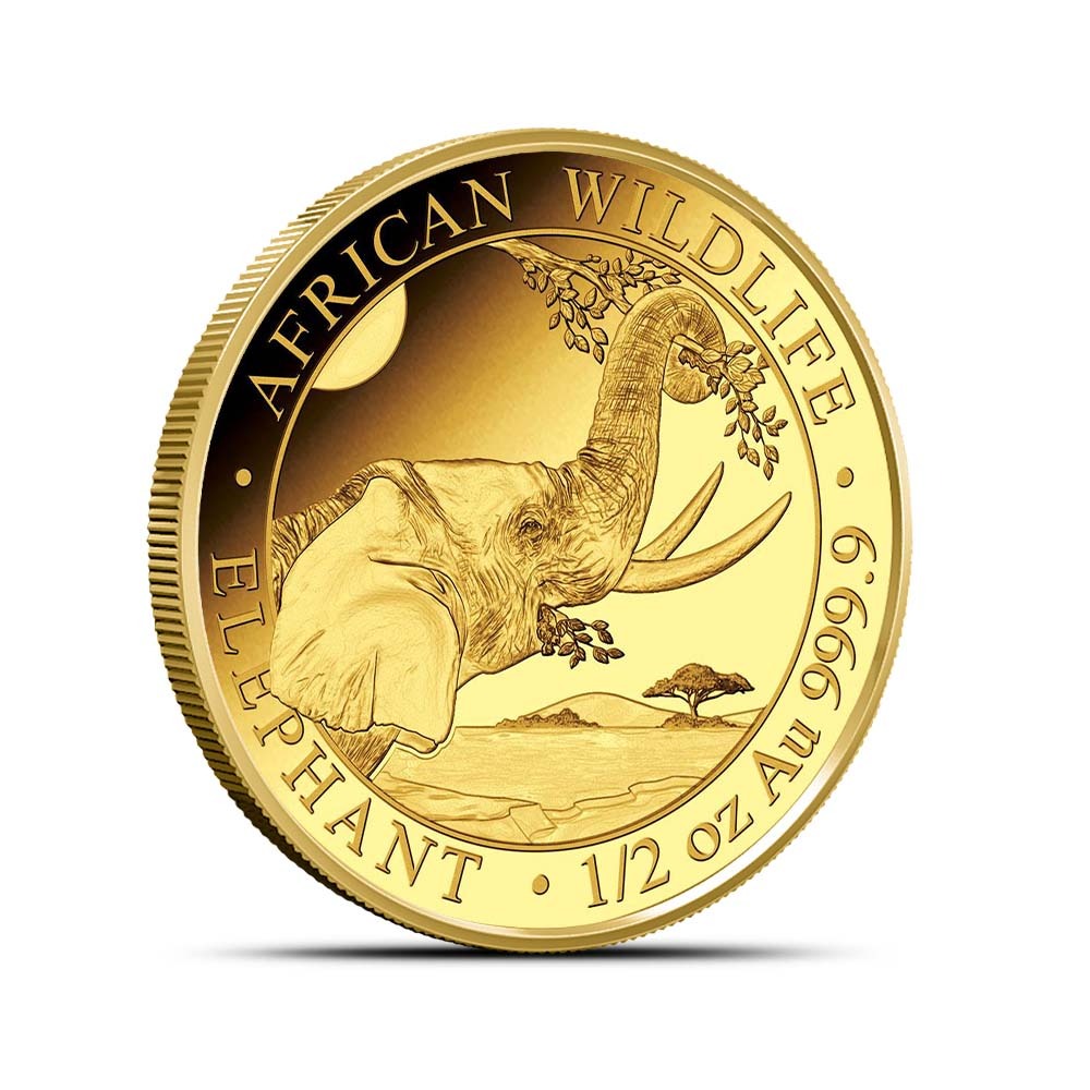 2023 Proof Somalia Gold Elephant African Wildlife Prestige Coin Set (Box + CoA) - Image 5